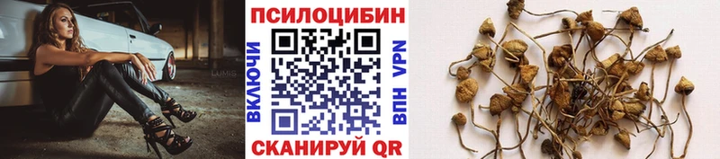 Купить  Южа  Галлюциногенные грибы мухоморы 